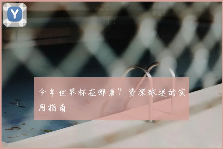 今年世界杯在哪看?资深球迷的实用指南