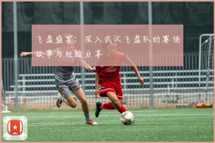 飞盘盛宴:深入武汉飞盘队的赛场故事与经验分享
