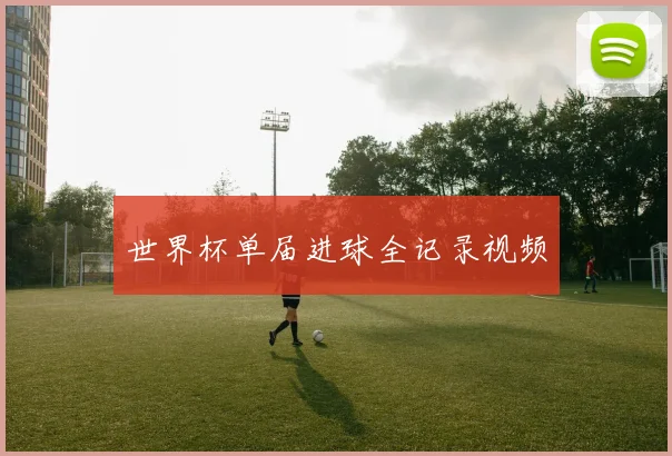 世界杯单届进球全记录视频
