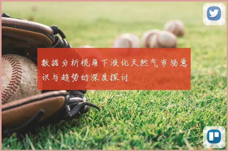 数据分析视角下液化天然气市场意识与趋势的深度探讨