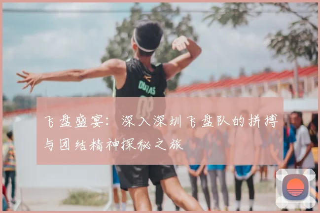 飞盘盛宴:深入深圳飞盘队的拼搏与团结精神探秘之旅