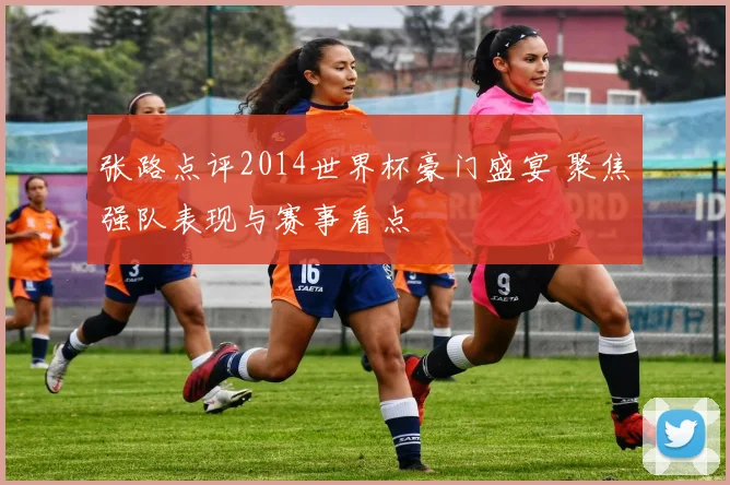 张路点评2014世界杯豪门盛宴 聚焦强队表现与赛事看点